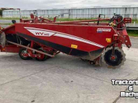 Onion harvester Grimme WV 140 Uienrooier