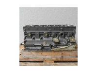 Engine Iveco 8015715EX 8065.25.1